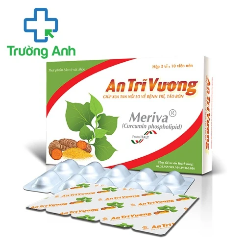 An Trĩ Vương - Giúp thanh nhiệt giải độc, tăng cường sức bền thành mạch
