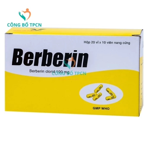 Berberin 100mg Bidiphar - Thuốc điều trị hội chứng lỵ