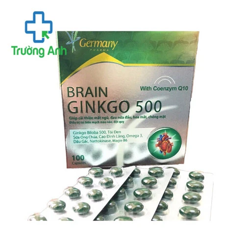 BRAIN GINKGO COENZYM Q10 - Tăng cường lưu thông máu