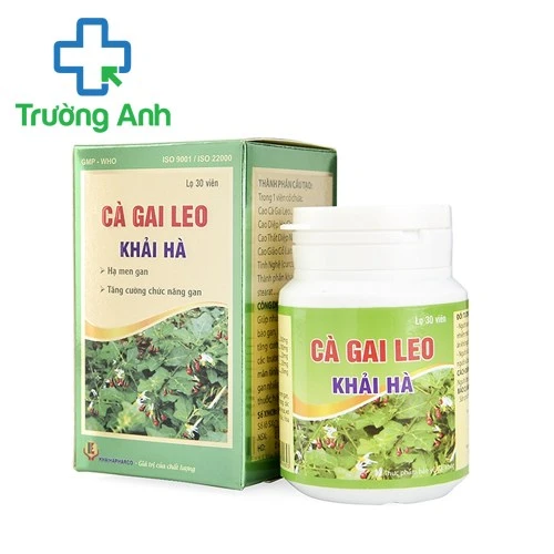 Cà gai leo Khải Hà - Tăng cường chức năng gan, hạ men gan hiệu quả