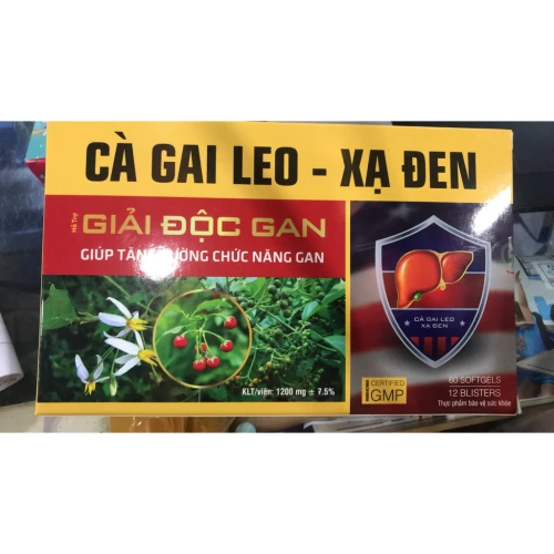 Cà gai leo - Xạ đen - Giúp thanh nhiệt, giải độc gan hiệu quả