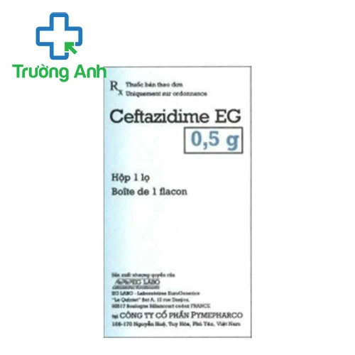 Ceftazidime EG 0,5g Pymepharco - Thuốc điều trị nhiễm khuẩn hiệu quả