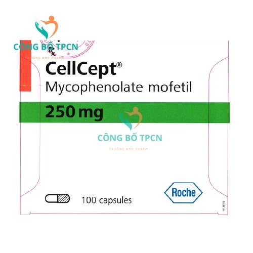 Cellcept 250mg - Thuốc phòng ngừa đào thải khi ghép cơ quan của Italy