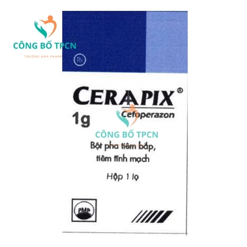 Ceraapix 1g Pymepharco - Thuốc điều trị nhiễm khuẩn hiệu quả