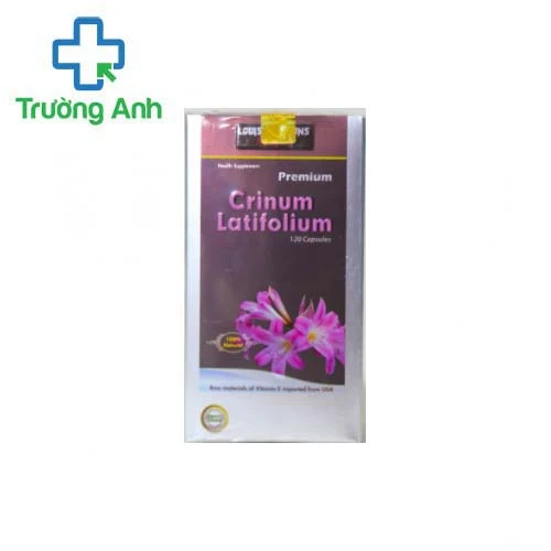 Crinum Latifolium - Hỗ trợ giảm sự tiến triển của u xơ tử cung