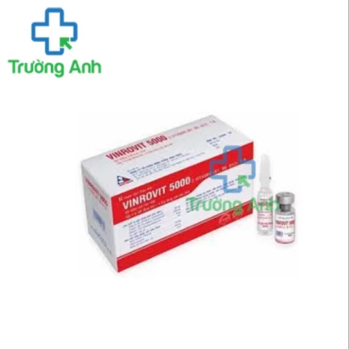 Vinrovit 5000 Vinphaco (bột tiêm) - Thuốc bổ sung vitamin B
