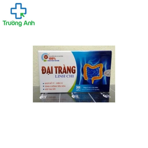 ĐẠI TRÀNG LINH CHI - Giúp bổ tỳ, kiện vị, tăng cường tiêu hóa