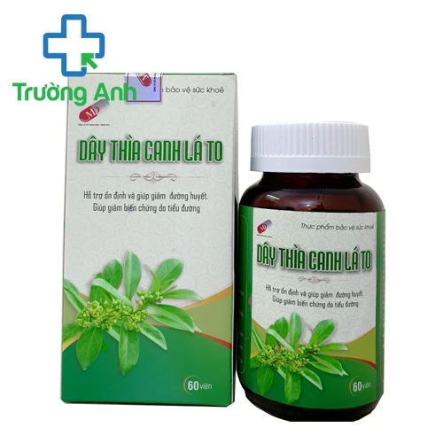 Dây thìa canh lá to - Giúp ổn định và giảm đường huyết