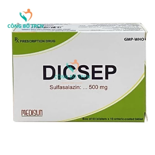 Dicsep 500mg - Thuốc điều trị viêm loét đường tiêu hóa hiệu quả
