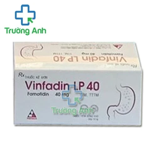 Vinfadin 40mg/5ml Vinphaco - Thuốc điều trị viêm loét dạ dày tá tràng