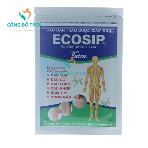Cao dán Ecosip thảo dược - Miếng dán giảm đau chống viêm hiệu quả