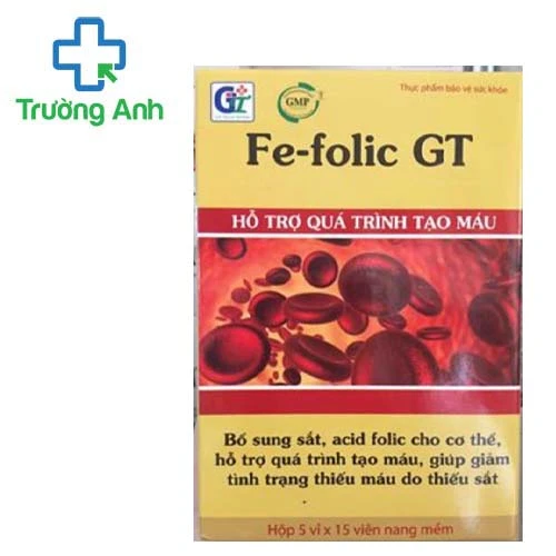  Fe-Folic GT - Hỗ trợ điều trị tình trạng thiếu máu do thiếu sắt