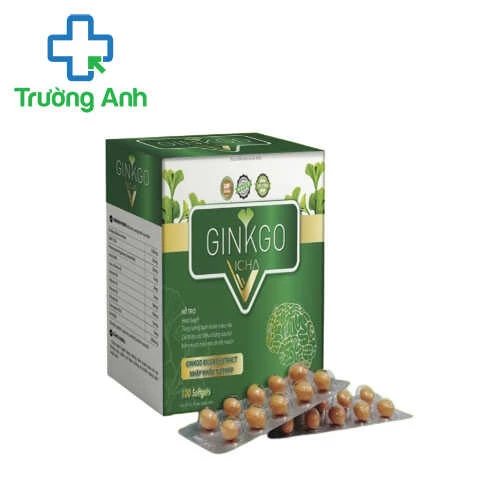 Ginkgo Vicha - Hỗ trợ hoạt huyết, tăng cường tuần hoàn máu não