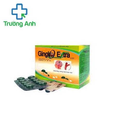 Ginkgo Extra - Hỗ trợ hoạt huyết, tăng cường tuần hoàn máu não