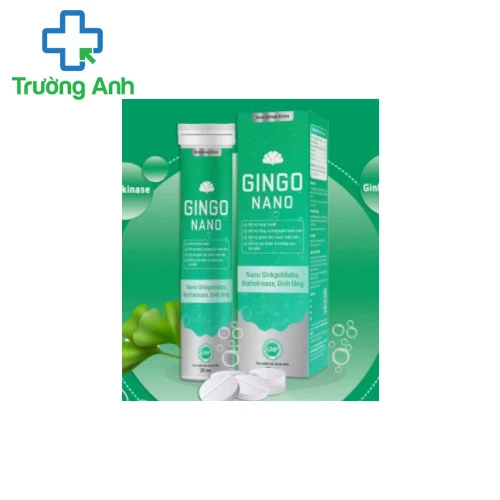 GINGO NANO - Hỗ trợ tăng cường tuần hoàn máu não