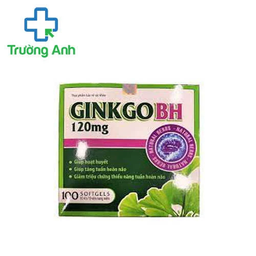 Ginkgo BH 120mg - Hỗ trợ điều trị thiểu năng tuần hoàn não