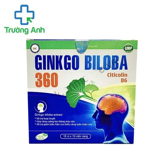 Ginkgo Biloba 360 - Giúp hoạt huyết, tăng cường lưu thông máu