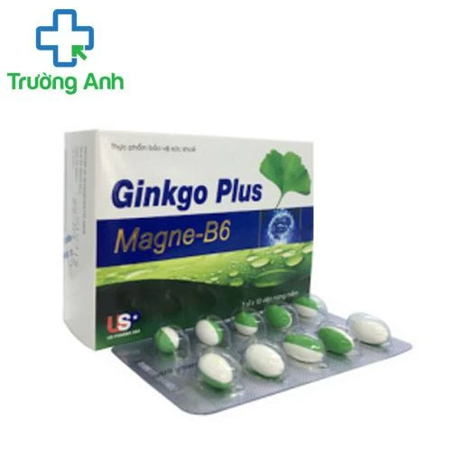 GINKGO PLUS MAGNE -B6 USP - Tăng cường chức năng tuần hoàn não