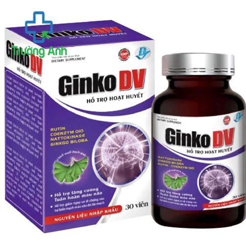 GINKO-DV - Giúp hỗ trợ giảm thiểu năng tuần hoàn não