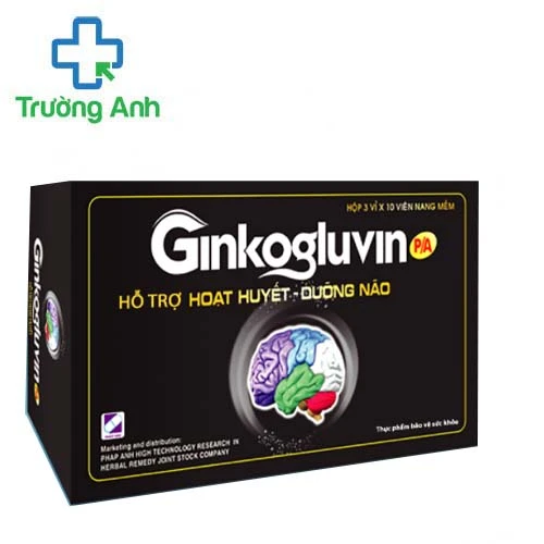 Ginkogluvin P/A - Hỗ trợ giảm thiểu năng tuần hoàn não