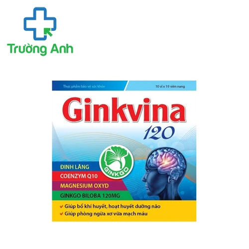 Ginkvina 120 - Giúp bổ não và tăng cường trí nhớ hiệu quả