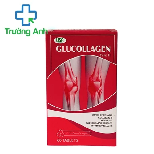 Glucollagel - Giúp tái tạo các tổn thương của sụn khớp hiệu quả