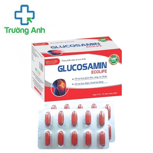 Glucosamin Ecolife - Hỗ trợ phòng và điều trị bệnh xương khớp