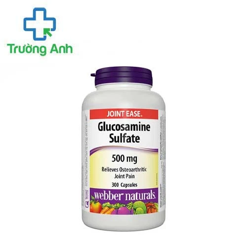 Glucosamine sulfate 500mg - Hỗ trợ điều trị viêm xương khớp