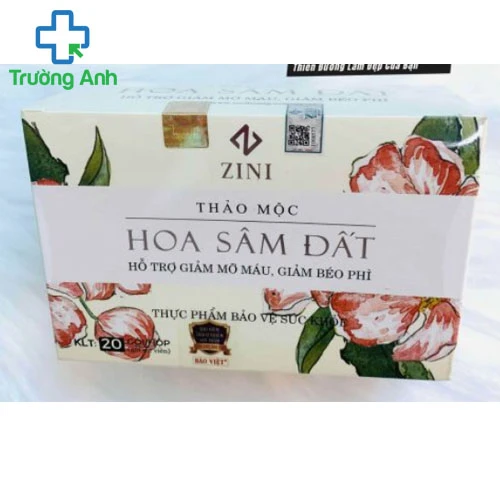 Hoa sâm - Hỗ trợ hạ cholesterol trong máu hiệu quả