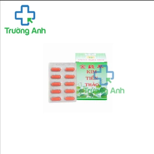 Kim tiền thảo PV (vỉ) - Thuốc điều trị sỏi đường tiết niệu