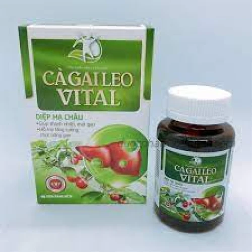 Cà gai leo Vital - Thực phẩm chức năng làm mát gan