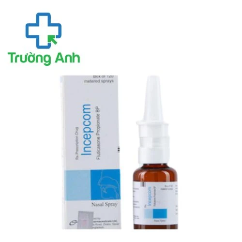 Incepcom 13g Incepta - Thuốc điều trị viêm mũi dị ứng và mề đay hiệu quả