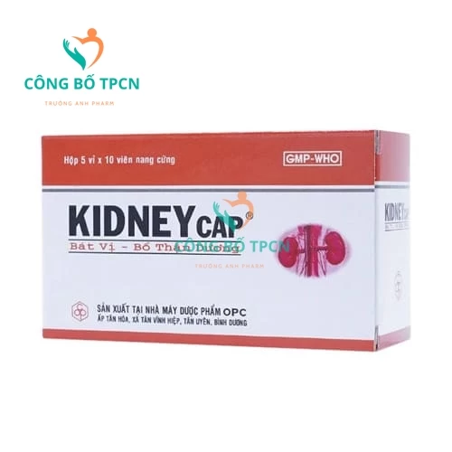 Kidneycap Bát vị-Bổ thận dương OPC giảm đau lưng mỏi gối
