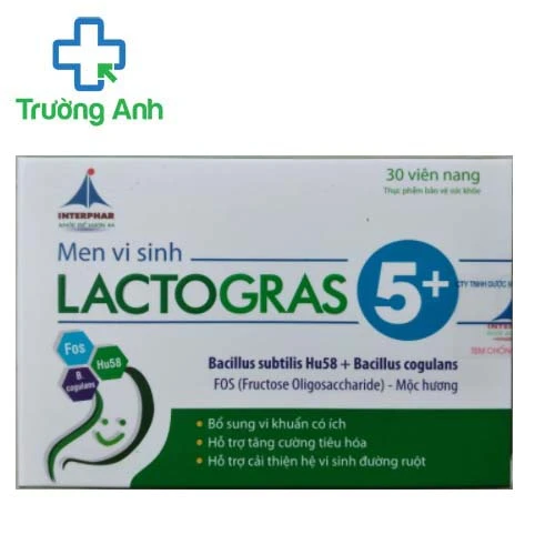 Men vi sinh lactogras 5+ - Hỗ trợ tăng cường tiêu hóa