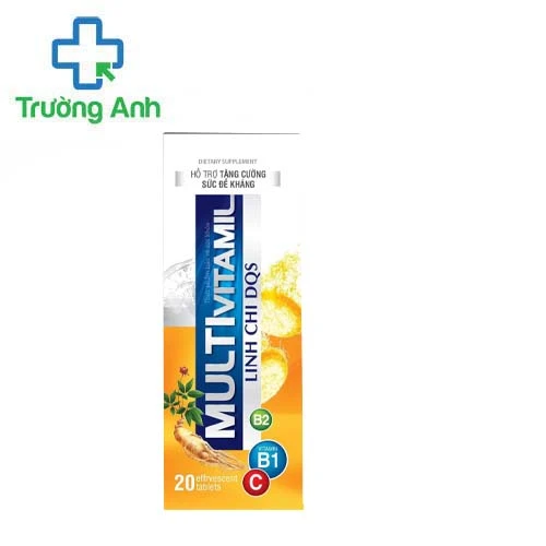 Multivitamil Linh Chi Dqs - Hỗ tăng cường sức đề kháng