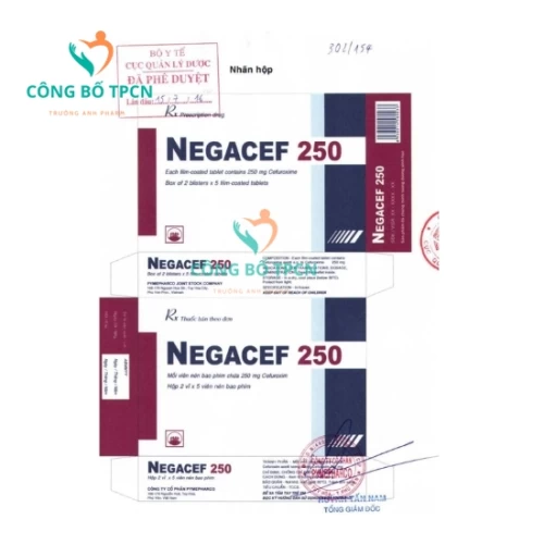 Negacef 250 Pymepharco - Thuốc điều trị nhiễm khuẩn