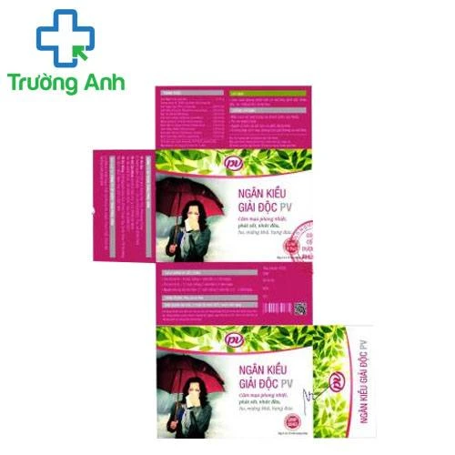 Ngân kiều giải độc PV - Giúp trị cảm mạo phong nhiệt hiệu quả
