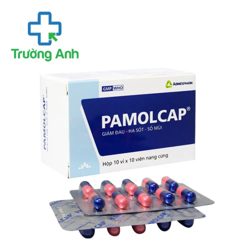 Pamolcap Agimexpharm (chai 500 viên) - Thuốc hạ sốt giảm đau hiệu quả