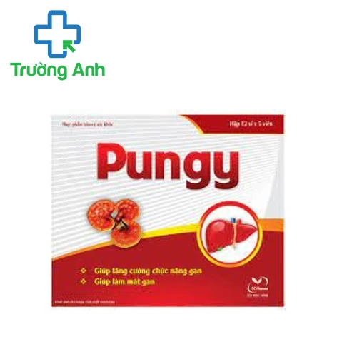 Pungy - Giúp tăng cường chức năng gan hiệu quả