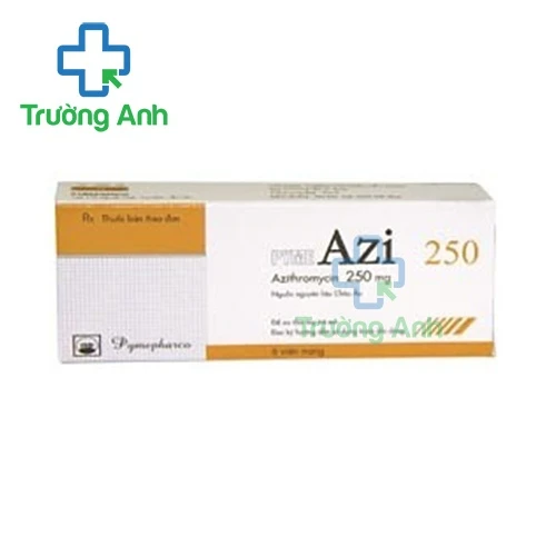 PymeAZI 250 Pymepharco - Điều trị các bệnh nhiễm trùng