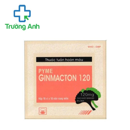 PymeGinmacton 120 Pymepharco - Thuốc điều trị rối loạn chức năng não