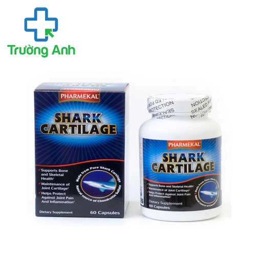 Shark Cartilage - Giúp phòng ngừa và điều trị các chứng viêm khớp