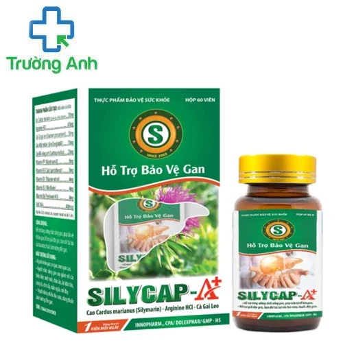 Silycap A+ - Hỗ trợ tăng cường chức năng gan, giúp bảo vệ gan
