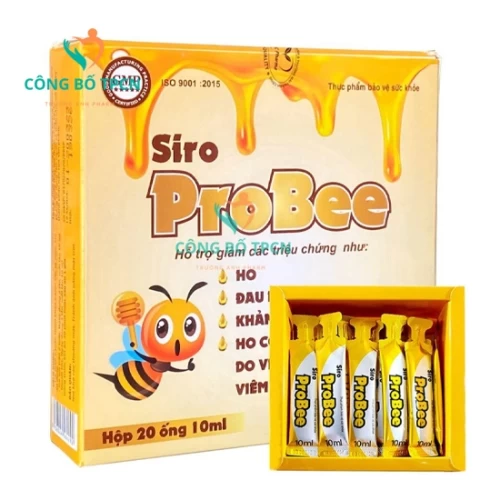 Siro Probee - Hỗ trợ giảm các triệu chứng như ho, đau rát họng
