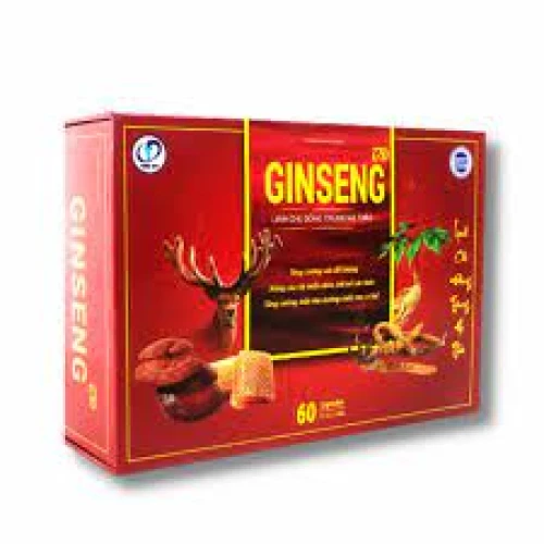Ginseng TĐ - Thực phẩm chức năng tăng cường miễn dịch