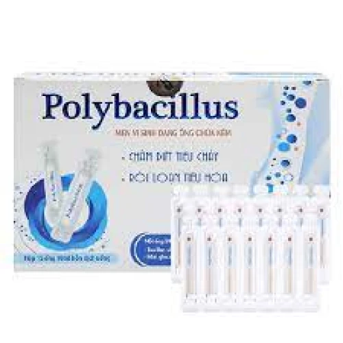 PolyBacillus - Thực phẩm chức năng giảm tiêu chảy