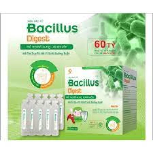 Men bao tử Bacillus Digest - Thực phẩm chức năng ổn định ruột