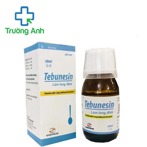 Tebunesin 60ml Hadiphar - Thuốc điều ho, long đờm hiệu quả