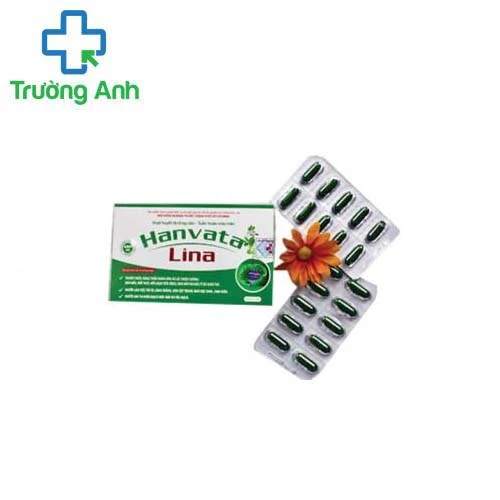 Tuần hoàn máu não Hanvata Lina -  Hỗ trợ hoạt huyết