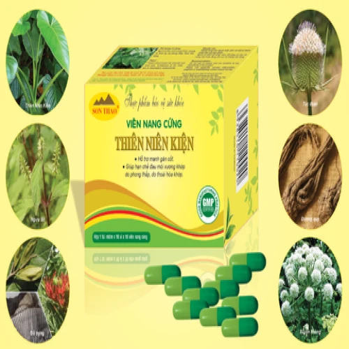 Thiên niên thiện - Thực phẩm chức năng giúp mạnh gân cốt